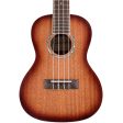 Cordoba 15CM-E Edge Burst Acoustic Electric Concert Ukulele Supply