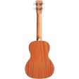 Cordoba 15CM-E Edge Burst Acoustic Electric Concert Ukulele Supply