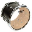 Evans Hydraulic Glass Drum Head, 10  Discount