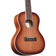 Cordoba 15CM-E Edge Burst Acoustic Electric Concert Ukulele Supply