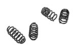 REKUDO Performance Lowering Spring Set For Discount