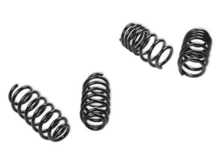 REKUDO Performance Lowering Spring Set For Discount