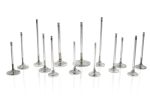 Ferrea Chevrolet SB 2.125in 5 16in 5.010in 12 Deg Flo +.100 Competition Plus Intake Valve - Set of 8 For Cheap